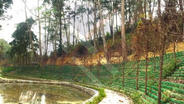 Shihmen Farm Pond Rehabilitation Project in Miaoli County, Taiwan